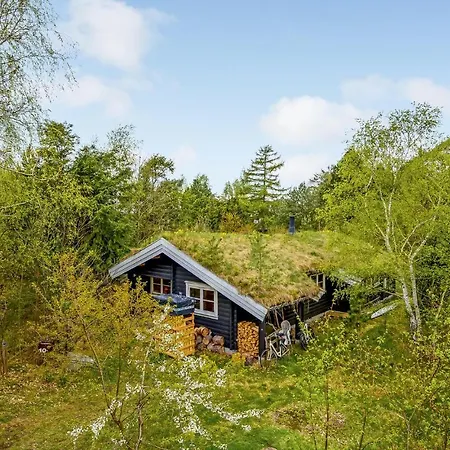 Pet Friendly In With Kitchen * Hornbaek